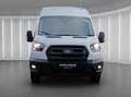 Ford Transit Trend 350 EXPRESS-LINE L4H3 HA | KLIMAAUT | GRA | Weiß - thumbnail 8
