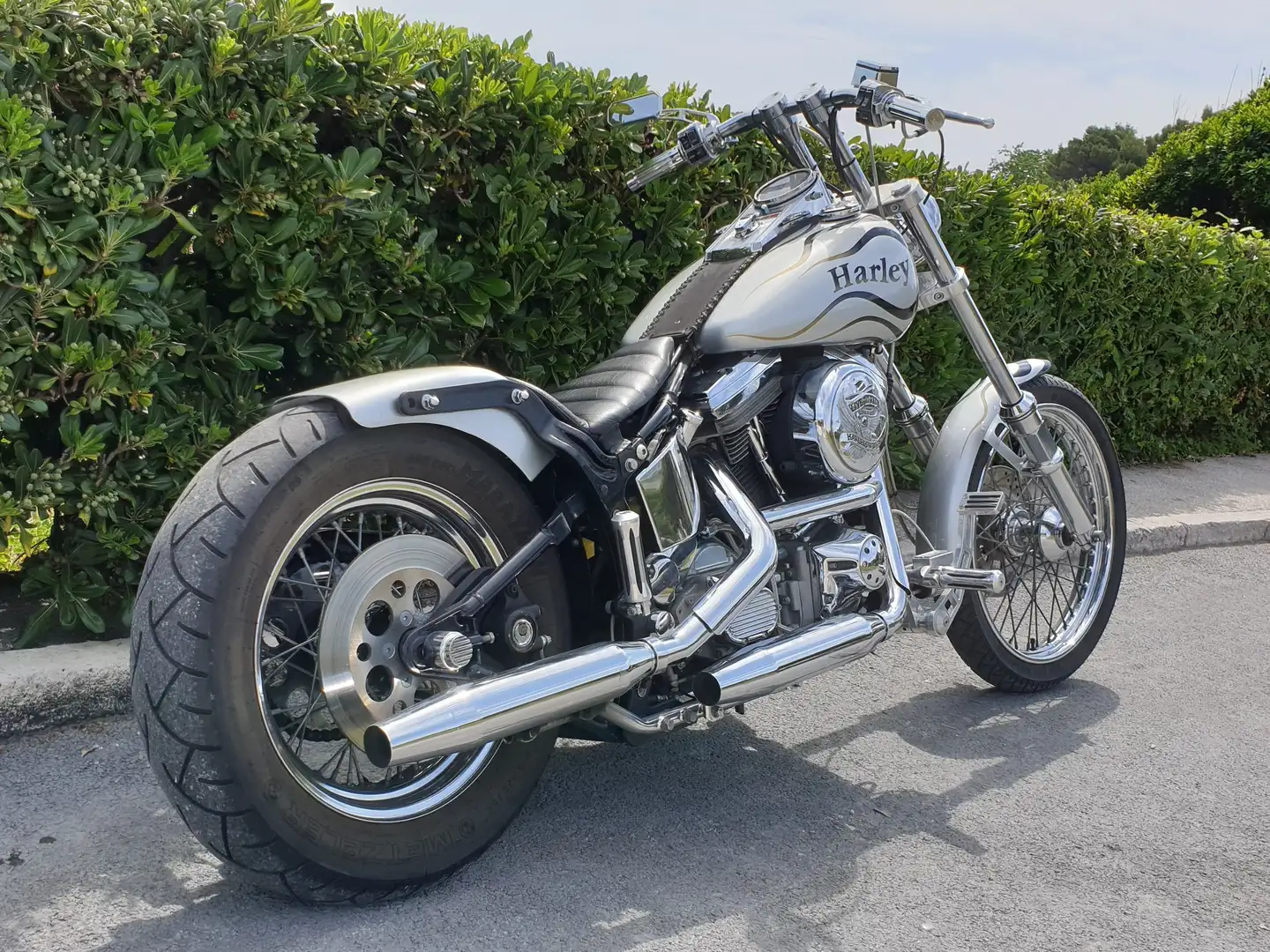 Harley-Davidson Softail Custom Сірий - 1