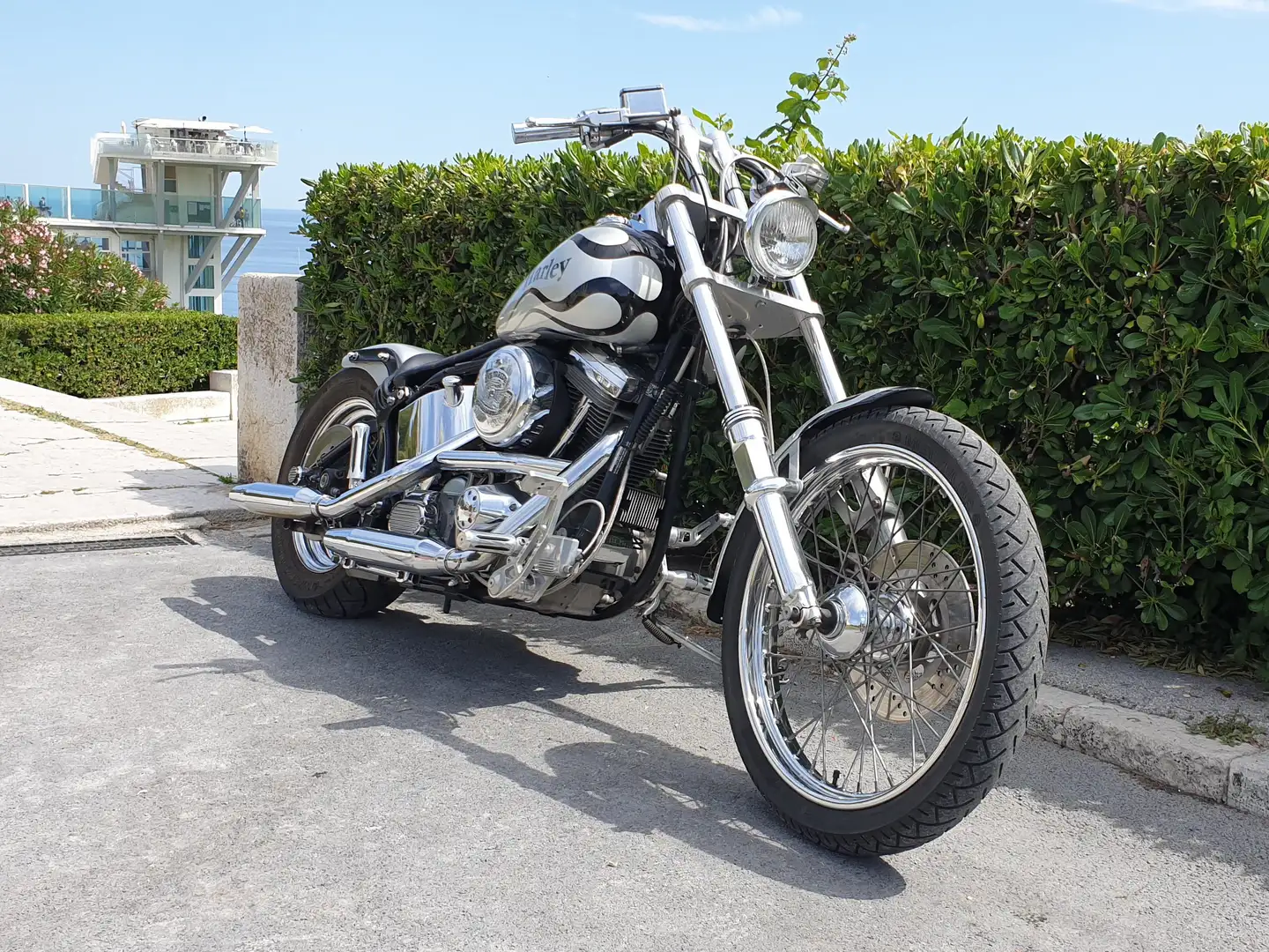 Harley-Davidson Softail Custom Grijs - 2