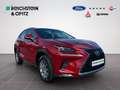 Lexus NX 300 h 2.5l Business Line/Keyless/DAB/Tempomat Rouge - thumbnail 3