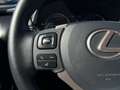Lexus NX 300 h 2.5l Business Line/Keyless/DAB/Tempomat Rouge - thumbnail 15
