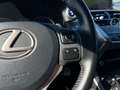 Lexus NX 300 h 2.5l Business Line/Keyless/DAB/Tempomat Rouge - thumbnail 16