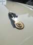 Jaguar XJS Coupe 5.3 V12 Fehér - thumbnail 8