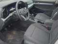 Volkswagen Golf VIII Life 1.5 TSI,Climatronik,LED,Parksensoren Wit - thumbnail 13