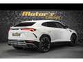 Lamborghini Urus V8 - BIANCO ICARUS METALLIC Blanc - thumbnail 3