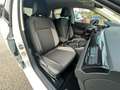 Volkswagen Polo Polo 1.0 tsi Edition Plus 95cv Bianco - thumbnail 9