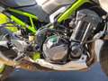 Kawasaki Z 900 Wit - thumbnail 12