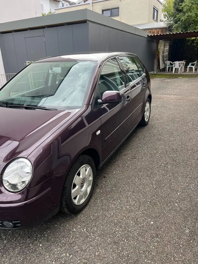Volkswagen Polo Violett - 2