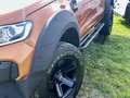 Ford Ranger I DOKA I 4x4 Wildtrak I CARLEX I Monster Orange - thumbnail 2