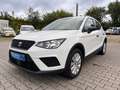 SEAT Arona Arona Reference 1.0 TGI CNG Erdgas Blanc - thumbnail 12