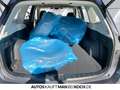 Subaru Forester 2.0ie EDITION EXCLUSIVE 4X4 LED NAVI SHZ Gri - thumbnail 14