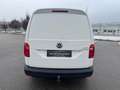 Volkswagen Caddy Maxi 2.0 TDI/1.Besitz/Mwst ausweisbar Weiß - thumbnail 4