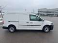 Volkswagen Caddy Maxi 2.0 TDI/1.Besitz/Mwst ausweisbar Weiß - thumbnail 6