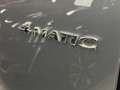 Mercedes-Benz Viano Viano 4Matic Long 8 Posti Automatico 163cv  UniPro Grigio - thumbnail 34