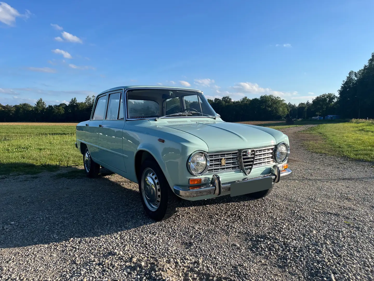 Alfa Romeo Giulia Blau - 2