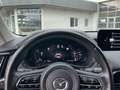 Mazda CX-60 2.5 PHEV Homura Driver AHK MATRIX HUD ACAA Navi Beige - thumbnail 11
