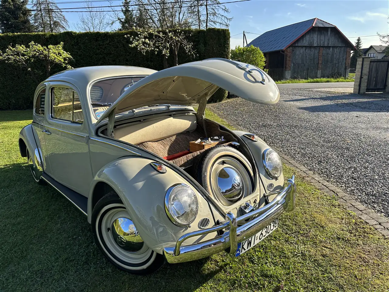 Volkswagen Beetle, foto 6