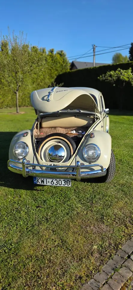 Volkswagen Beetle, foto 12