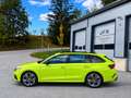 Skoda Octavia 2.0 TDI DPF *Edition* RS 4x4 (EURO 6d) * Panora... Grün - thumbnail 9