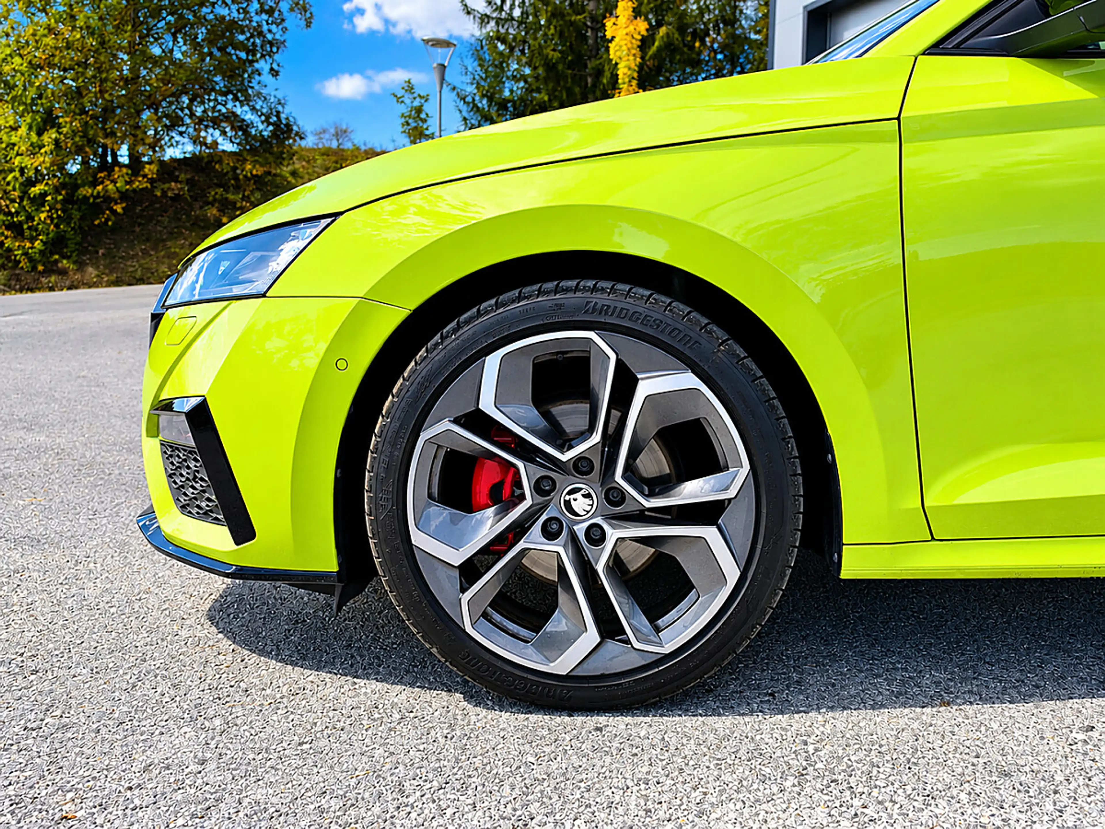 Skoda Octavia 2.0 TDI DPF *Edition* RS 4x4 (EURO 6d) * Panora... — photo 10