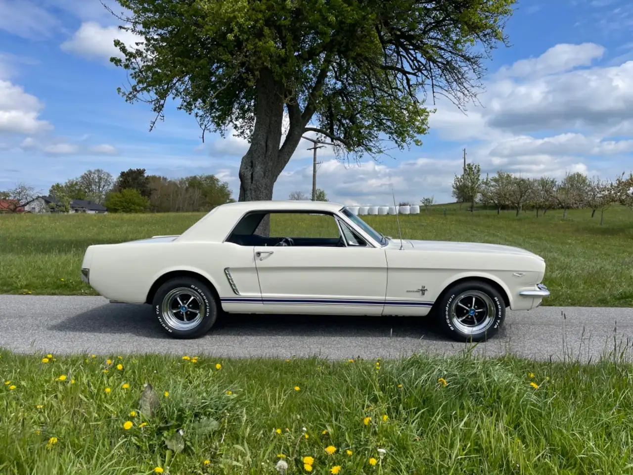 Ford Mustang Top Auto,top Ausgestattet,viele Extras, foto 6