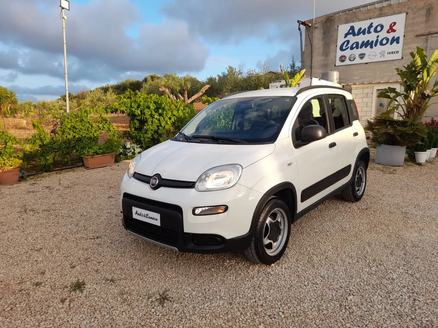 Fiat Panda Panda 0.9 t.air t. 4x4 s Bianco - 1