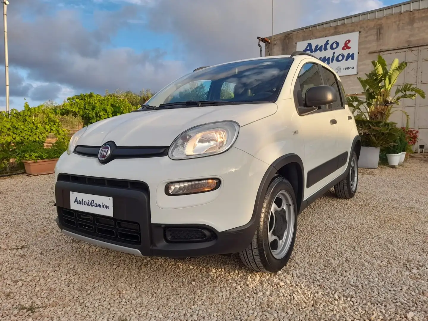 Fiat Panda Panda 0.9 t.air t. 4x4 s Bianco - 2
