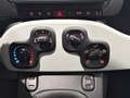 Fiat Panda 1.0 FireFly 70cv S&S Hybrid Pandina Blanc - thumbnail 16