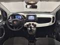 Fiat Panda 1.0 FireFly 70cv S&S Hybrid Pandina Blanc - thumbnail 8