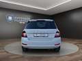 Skoda Fabia 1.0 TSI Style PANORAMA+NAVI+APP+PDC Klima Navi Weiß - thumbnail 6