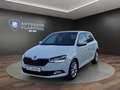 Skoda Fabia 1.0 TSI Style PANORAMA+NAVI+APP+PDC Klima Navi Weiß - thumbnail 1