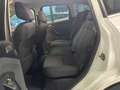 Ford C-Max Ford C-Max 1.6 TDCi 115CV Titanium Blanc - thumbnail 11