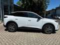 Peugeot 3008 Allure Hybrid 145 e-DCS6 Weiß - thumbnail 8
