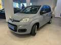 Fiat Panda 1.0 firefly hybrid s&s 70cv Gris - thumbnail 3