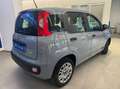 Fiat Panda 1.0 firefly hybrid s&s 70cv Gris - thumbnail 2