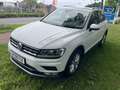 Volkswagen Tiguan Highline 2,0Ltr. TDI DSG+SHZ+AHK+PDC+Klima +HUD Weiß - thumbnail 1