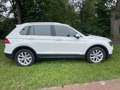 Volkswagen Tiguan Highline 2,0Ltr. TDI DSG+SHZ+AHK+PDC+Klima +HUD Weiß - thumbnail 4