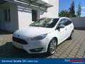 Ford Focus Traveller 1,5 TDCi Trend Weiß - thumbnail 1