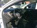 Ford Focus Traveller 1,5 TDCi Trend Weiß - thumbnail 11