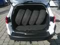 Ford Focus Traveller 1,5 TDCi Trend Weiß - thumbnail 5