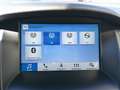 Ford Focus Traveller 1,5 TDCi Trend Weiß - thumbnail 20