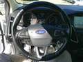 Ford Focus Traveller 1,5 TDCi Trend Weiß - thumbnail 15
