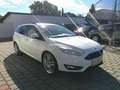 Ford Focus Traveller 1,5 TDCi Trend Weiß - thumbnail 8