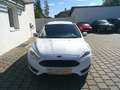 Ford Focus Traveller 1,5 TDCi Trend Weiß - thumbnail 9