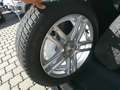 Ford Focus Traveller 1,5 TDCi Trend Weiß - thumbnail 6