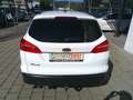 Ford Focus Traveller 1,5 TDCi Trend Weiß - thumbnail 3