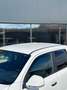 Volkswagen Amarok Canyon V6 TDI 4Motion Standheizung Blanc - thumbnail 46
