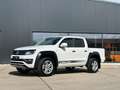 Volkswagen Amarok Canyon V6 TDI 4Motion Standheizung Blanc - thumbnail 1