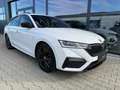 Skoda Octavia RS 2.0 TDI/DSG/NAVI/LED/HEAD UP/PDC/ Weiß - thumbnail 4