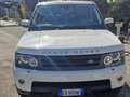Land Rover Range Rover Sport Range Rover Sport I 2010 3.0 tdV6 HSE auto Bianco - thumbnail 6